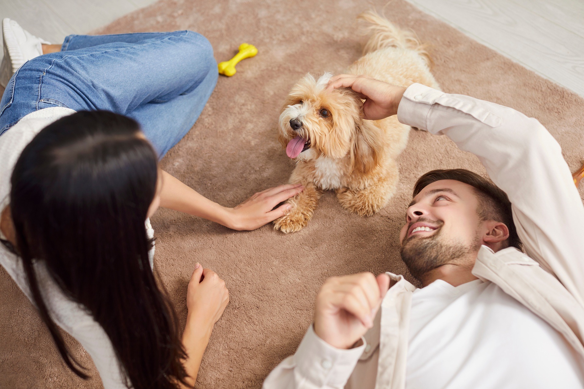 Paar spielt mit kleinem Hund auf Teppich | Welpenfutter

