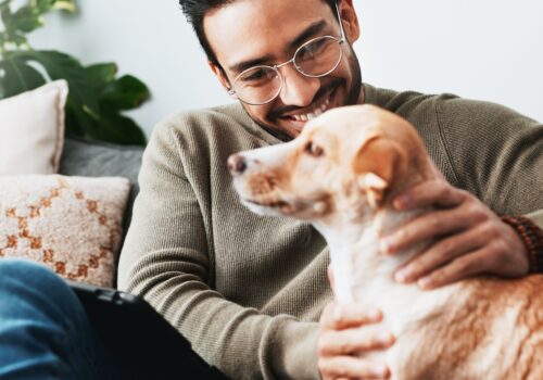 Wie Hunde das Wohngefühl verändern